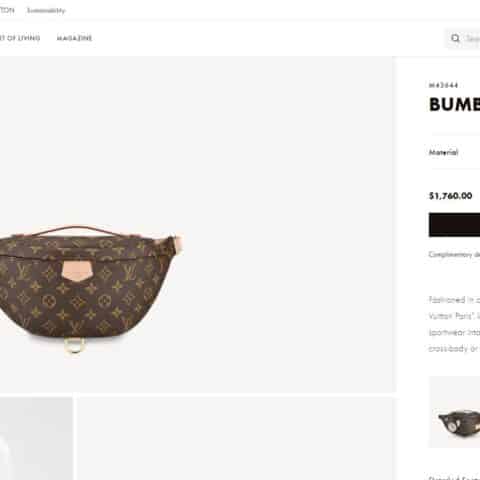 Louis Vuitton LV Bumbag老花腰包 M43644