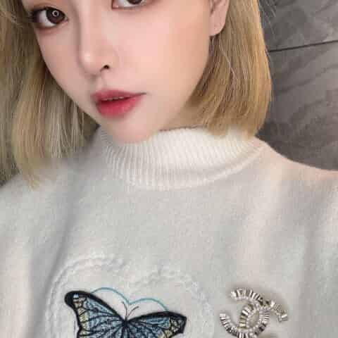 新款 CHANEL香奈儿双c胸针
