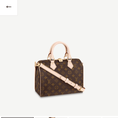 LV Speedy 25 枕头包 M41113