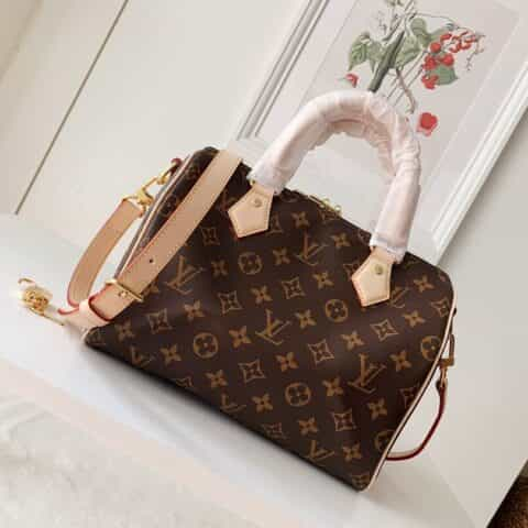 LV Speedy 25 枕头包 M41113