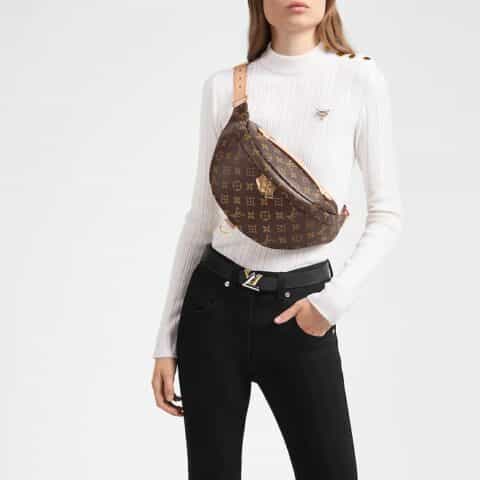 Louis Vuitton LV Bumbag老花腰包 M43644
