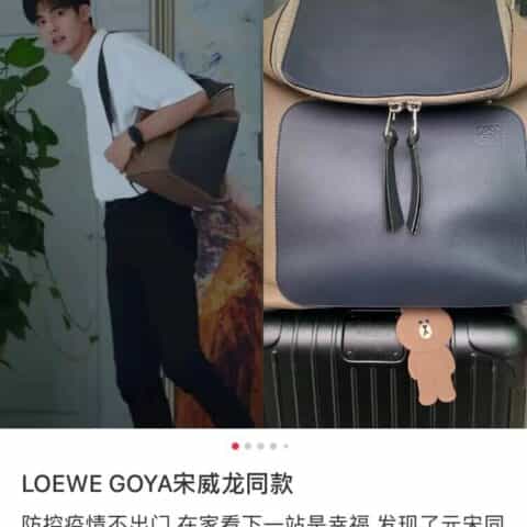 LOEWE罗意威 牛皮革Goya Backpack背包 0270杏色深蓝拼色