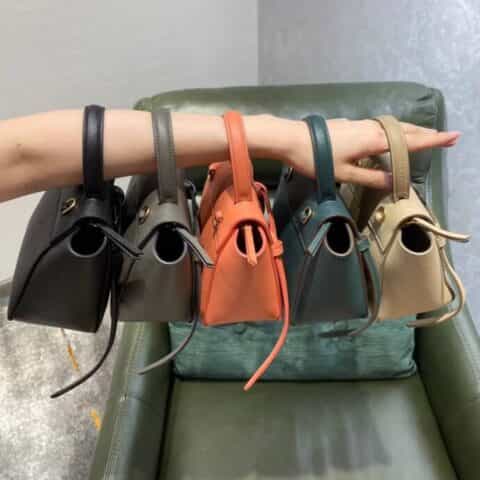 Celine思琳 BELT PICO BAG 鲶鱼包 194263荔枝色