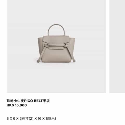 Celine思琳 BELT PICO BAG 鲶鱼包 194263浅灰褐色