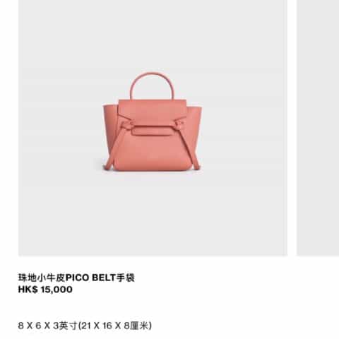 Celine思琳 BELT PICO BAG 鲶鱼包 194263荔枝色