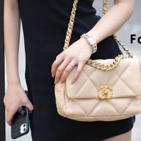 Chanel香奈儿 19 Flap Bag AS1160 AS1161