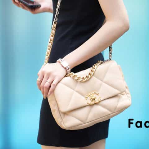 Chanel香奈儿 19 Flap Bag AS1160 AS1161