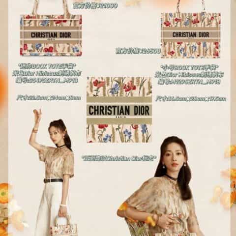 Mini Dior Book Tote S5475ZRTN_M918