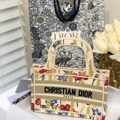 Mini Dior Book Tote S5475ZRTN_M918