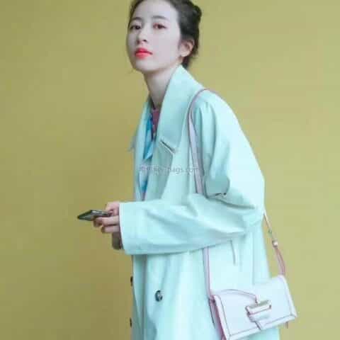 LOEWE罗意威 Mini Barcelona bag 三角包 0528粉色20CM