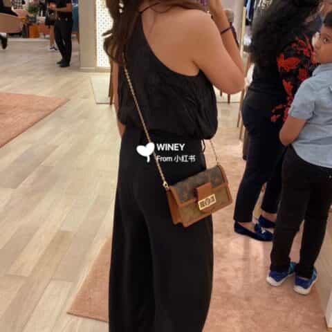 Louis Vuitton LV Dauphine Chain Wallet达芙妮链条包 M68746