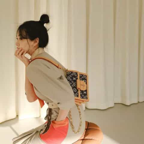 Louis Vuitton LV Borsa Dauphine MM Since 1854 达芙妮 M57499