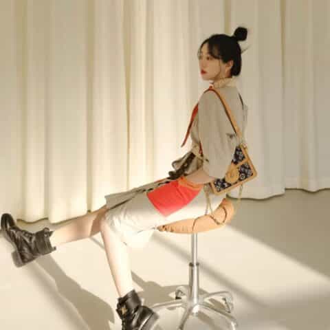 Louis Vuitton LV Borsa Dauphine MM Since 1854 达芙妮 M57499