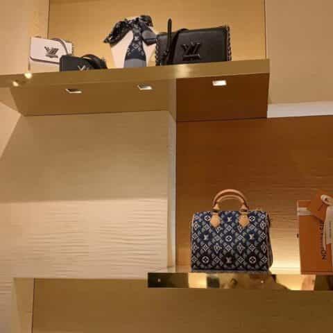 Louis Vuitton LV Since 1854 Speedy 25 波士顿手提包 M57400