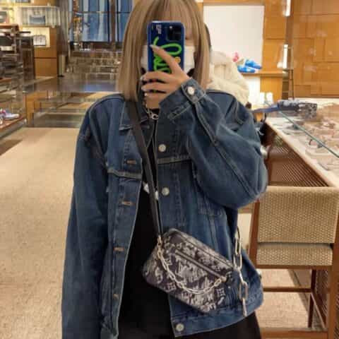 Louis Vuitton LV Mini Soft Trunk 链条包 M80033