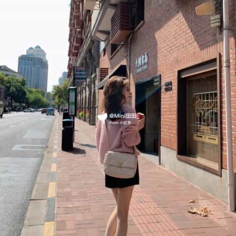Chanel香奈儿 19 Flap Bag AS1160小号26CM杏色