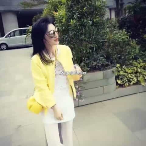 Loewe罗意威 Elephant小象肩挎包 0192黄色