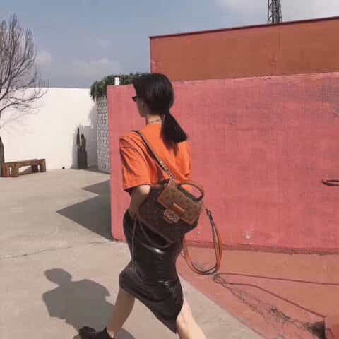 Louis Vuitton LV Dauphine Backpack PM 达芙妮双肩包 M45142