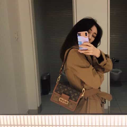 Louis Vuitton LV Mini Dauphin达芙妮肩背包 M44580