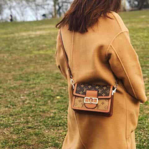 Louis Vuitton LV Mini Dauphin达芙妮肩背包 M44580