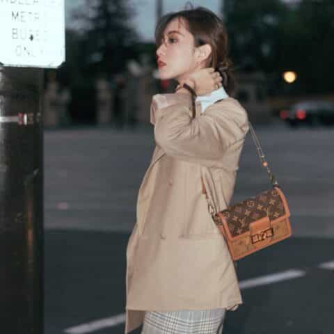 Louis Vuitton LV Mini Dauphin达芙妮肩背包 M44580