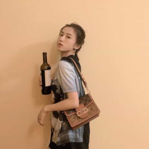 Louis Vuitton LV Dauphine MM 达芙妮肩背包 M44391