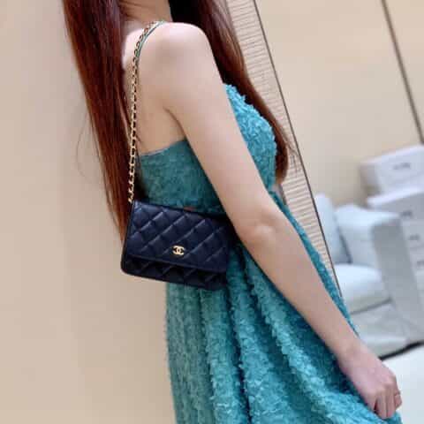 Chanel Mini woc经典款之Wallet on chain单肩斜挎链条包 AP1649
