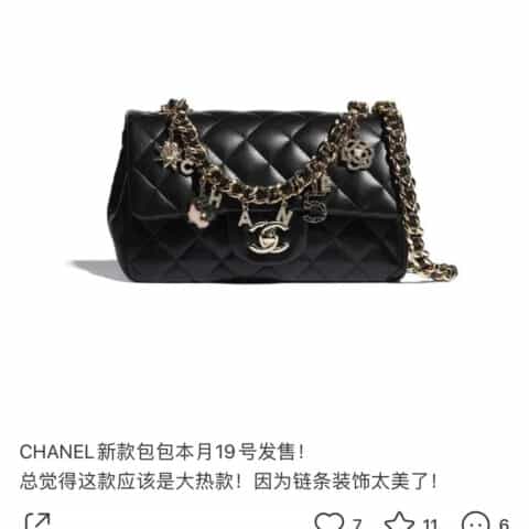 Chanel 2021年春夏度假新款镂空山茶花CF20单肩斜挎包 AS2326