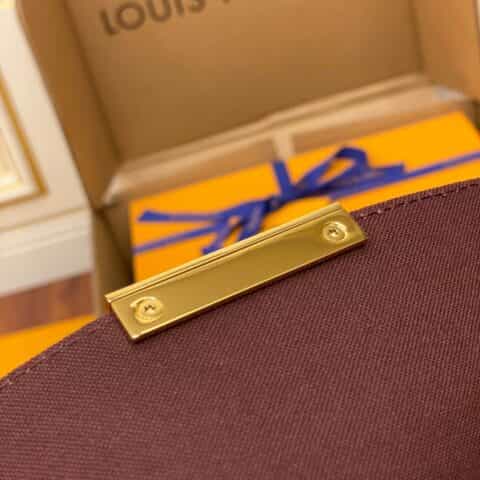 Louis Vuitton LV Favorite老花翻盖链条包单肩斜挎包M40718