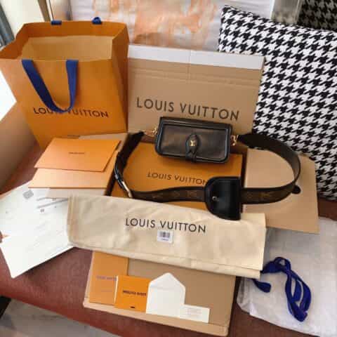 Louis Vuitton LV Officier bag 二合一斜挎包 M69841