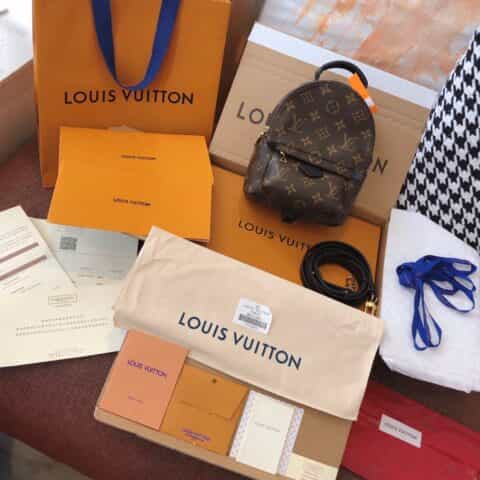 Louis Vuitton LV Palm Springs Mini双肩包M44873 M44872