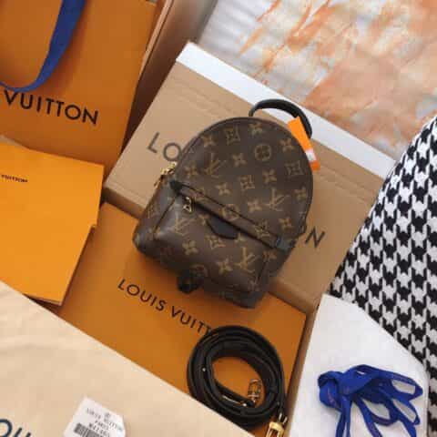 Louis Vuitton LV Palm Springs Mini双肩包M44873 M44872