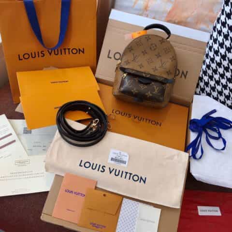 Louis Vuitton LV Palm Springs Mini双肩包M44873 M44872
