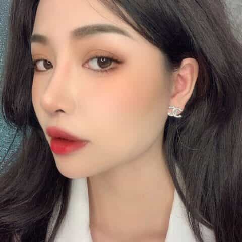 新款 CHANEL香奈儿双c满钻耳钉耳环