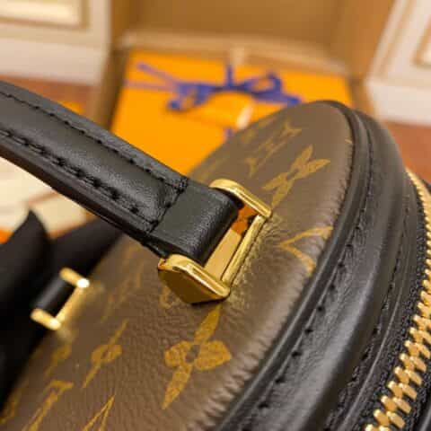 Louis Vuitton LV Monogram Cannes Handbag M43986