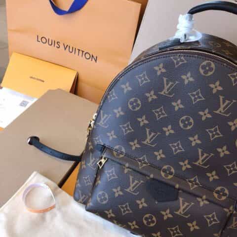 Louis Vuitton LV Palm Springs MM 中号双肩包 M44874