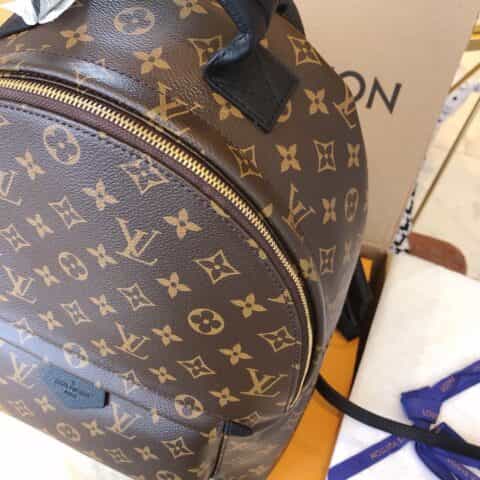 Louis Vuitton LV Palm Springs MM 中号双肩包 M44874