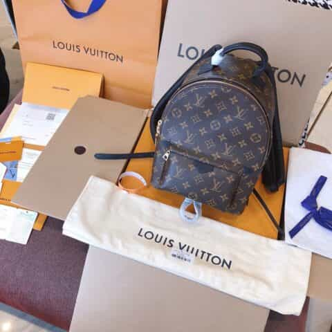 Louis Vuitton LV Palm Springs PM 小号双肩包 M44871