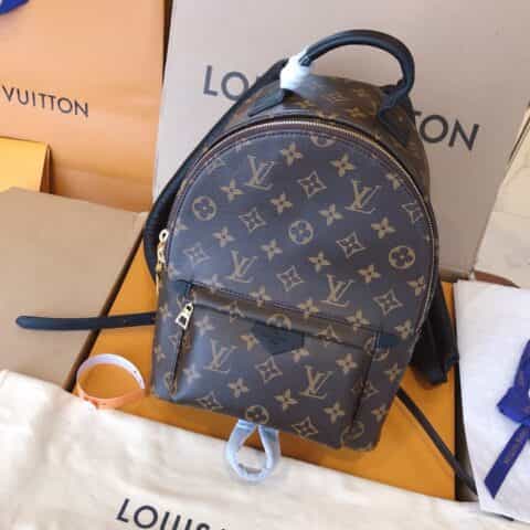 Louis Vuitton LV Palm Springs PM 小号双肩包 M44871