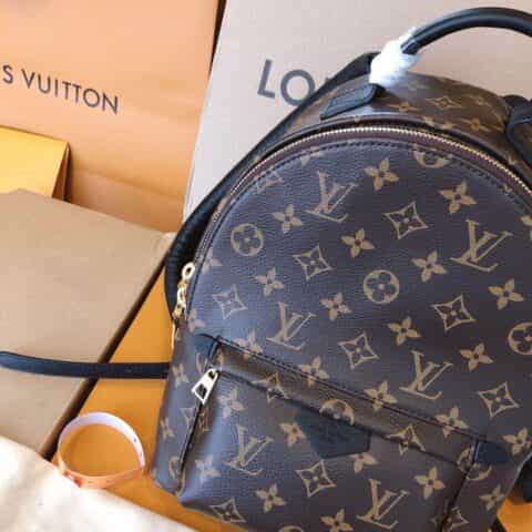 Louis Vuitton LV Palm Springs PM 小号双肩包 M44871