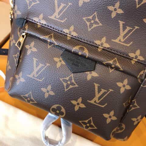 Louis Vuitton LV Palm Springs PM 小号双肩包 M44871