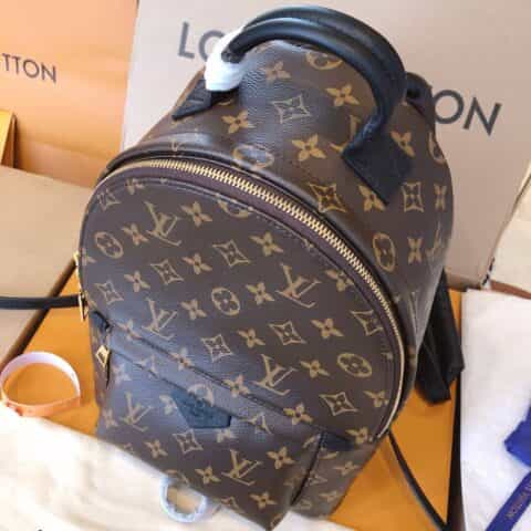 Louis Vuitton LV Palm Springs PM 小号双肩包 M44871