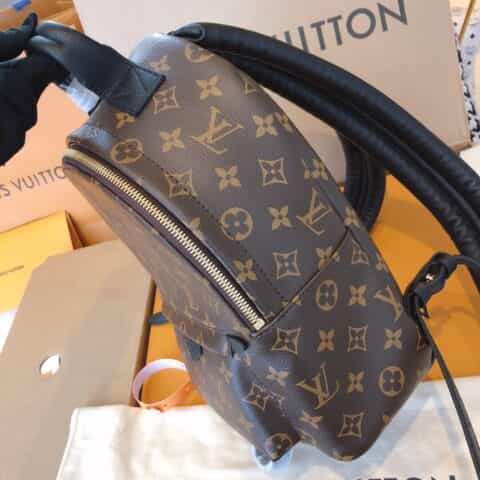 Louis Vuitton LV Palm Springs PM 小号双肩包 M44871