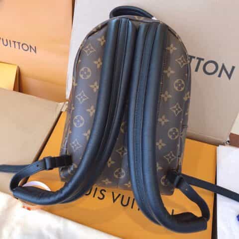 Louis Vuitton LV Palm Springs PM 小号双肩包 M44871