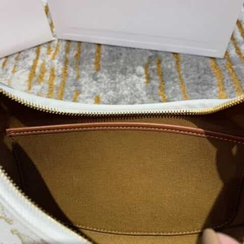 Celine思琳 Ava Bag in Triomphe Canvas 腋下包 193952白花