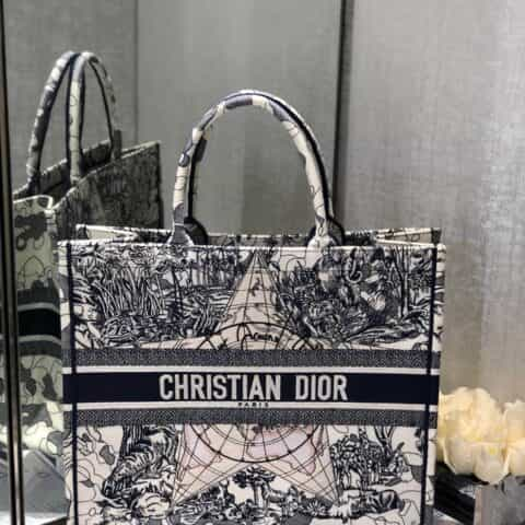 Dior 环球旅行星星地图book tote 42CM