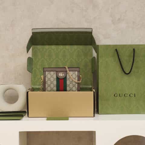 Gucci Ophidia mini shoulder bag 602676 K05NB 8745
