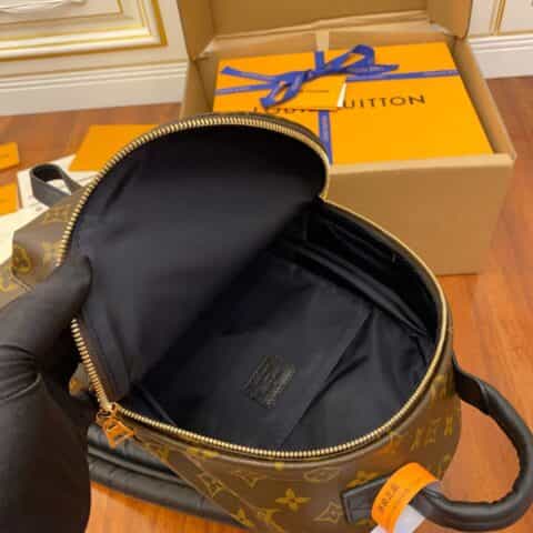 Louis Vuitton LV Palm Springs 小号双肩包 M44871