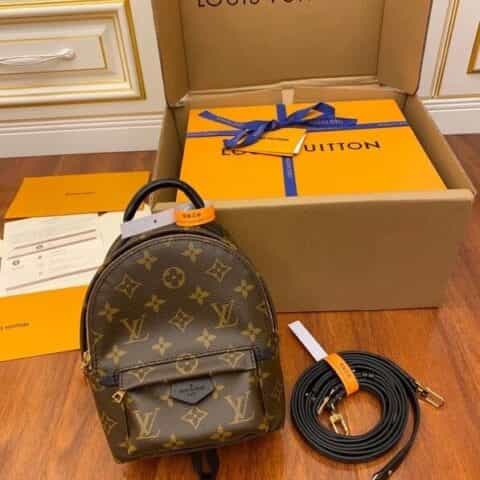 Louis Vuitton LV Palm Springs 迷你双肩包 M44873