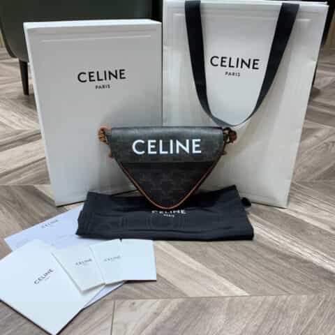 Celine Triangle bag 三角包 195902老花